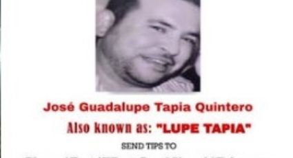 ¿Quién es ‘Lupe’ Tapia, el operador del Mayo Zambada, detenido en Culiacán?