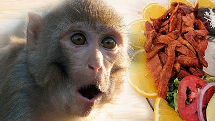 ¿En qué lugar de México se come carne de chango?