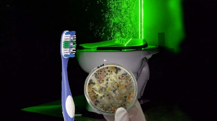 Por qué tu inodoro debe tener la tapa cerrada cuando jalas la palanca de descarga