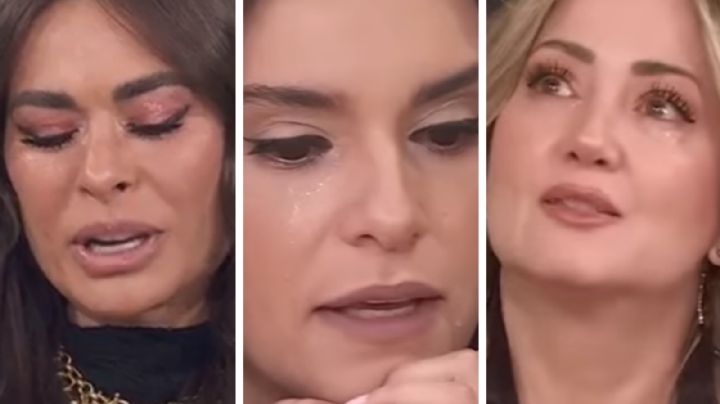 Galilea Montijo, Tania Rincón y Andrea Legarreta: por estos motivos se divorcian