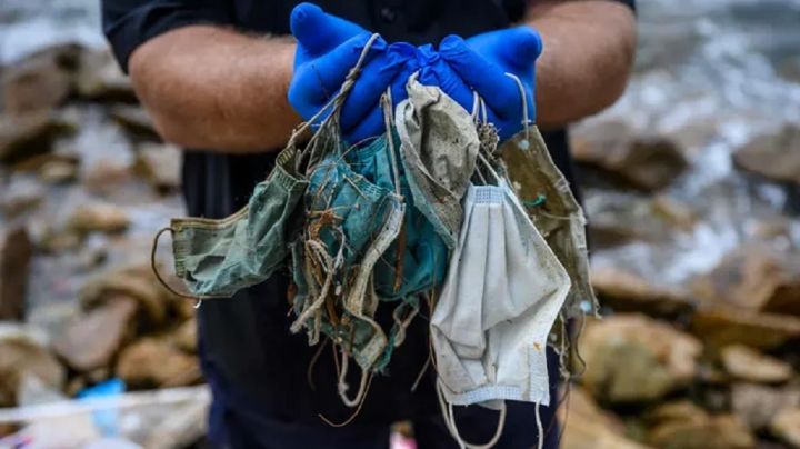 ¿Dónde están todos las cubrebocas que se han utilizado? | FOTO