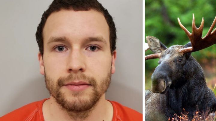 Padre mata a pedófilo con una pala y cuernos de alce; acechaba a su hija