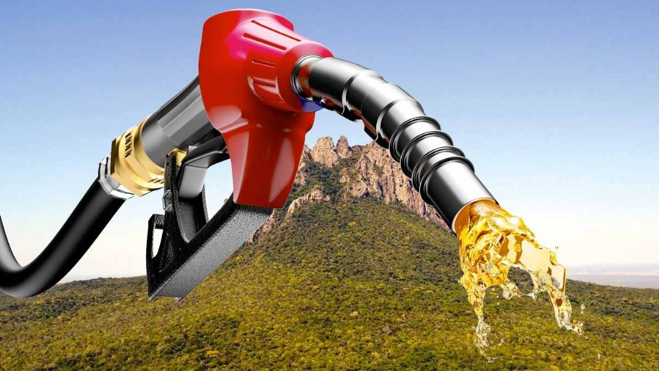 Tamaulipas tiene precios bajo en gasolina Maga y Premium