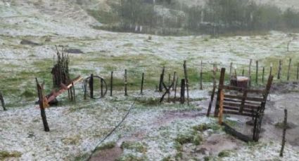 Fuerte granizada afecta municipios de Veracruz