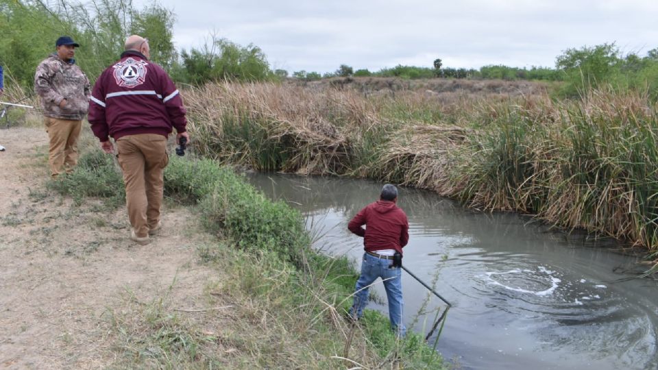 Protección Civil buscó al cocodrilo en el arroyo.