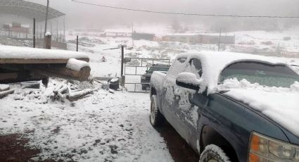 Nevadas, heladas, aguanieve y tolvaneras desquician el norte de México; marzo loquísimo