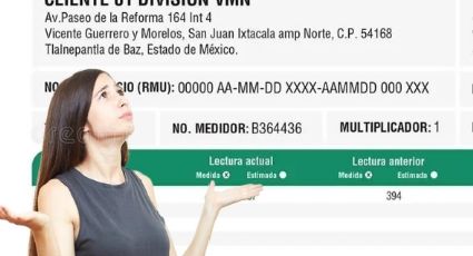 ¿No llegó el recibo de la luz?; así lo imprimes en internet paso a paso