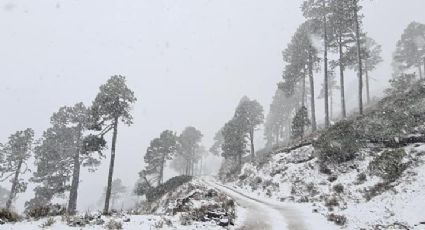 Siguen las nevadas, ahora en Galeana, Nuevo León | FOTOS