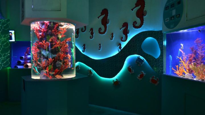 Acuario de Nuevo Laredo está cerrado; ¿hasta cuándo lo abren?