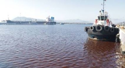 Aparece marea roja tóxica en Manzanillo: qué es y cómo afecta