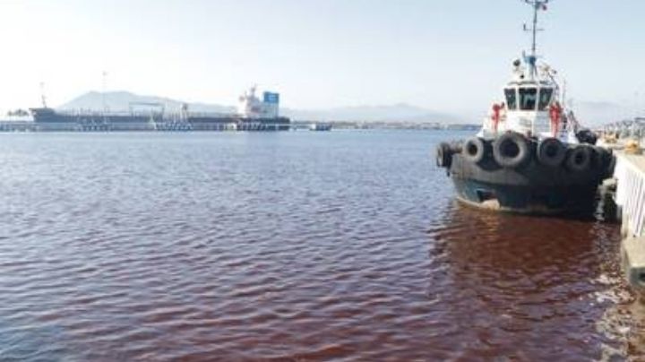 Aparece marea roja tóxica en Manzanillo: qué es y cómo afecta