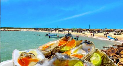 Semana Santa: Playa La Pesca, Tamaulipas un lugar paradisiaco