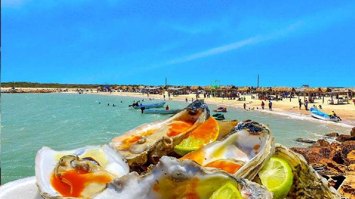Semana Santa: Playa La Pesca, Tamaulipas un lugar paradisiaco