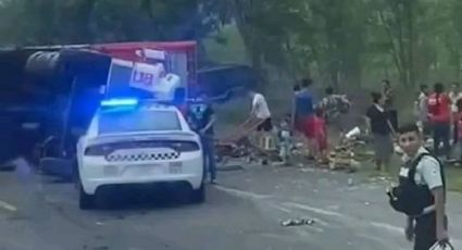 Vuelca camión con piñas en San Fernando, Tamaulipas; rapiña se hace presente | VIDEO