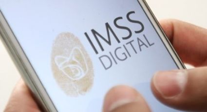 ¿Tienes problemas con tus datos registrados en el IMSS?; ésto debes hacer