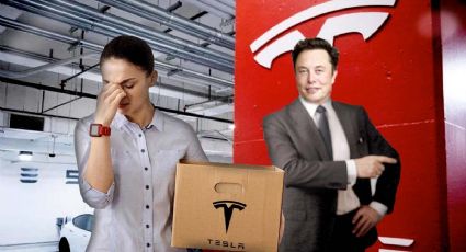 Tesla México: motivo por el cual te despiden inmediatamente | FOTO
