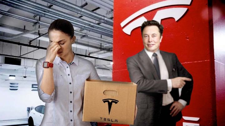 Tesla México: motivo por el cual te despiden inmediatamente | FOTO
