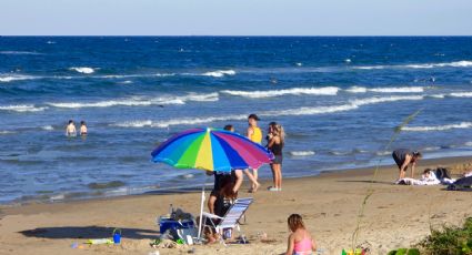 Isla del Padre Sur: alertan por presencia de medusas peligrosas en la costa