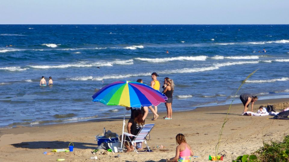 Reportan la presencia de medusas peligrosas en la Isla del Padre Sur