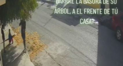 Mujer tóxica barre y es descubierta echando la basura a la puerta de su vecina | VIDEO