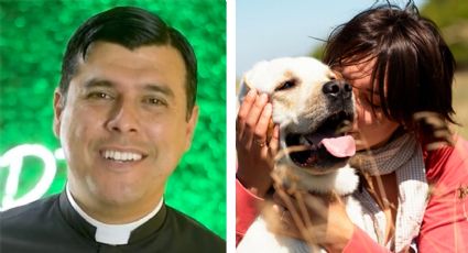 "Animales no valen más que un humano": tunden a sacerdote por pedir no humanizar a las mascotas