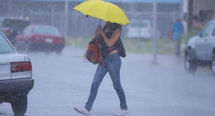 Lluvias en Tamaulipas: vaya sacando el paraguas; pronostican aguaceros