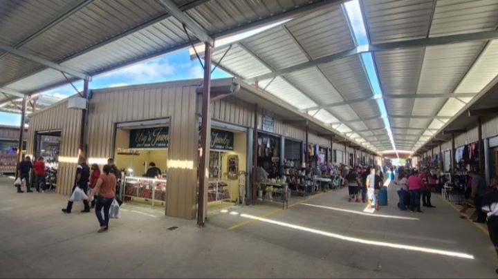 Pulga del Alamo, ¿por qué son tan populares sus bailes?