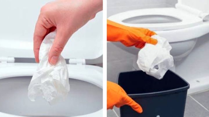 Papel higiénico: ¿va al bote de la basura o a la taza del baño?