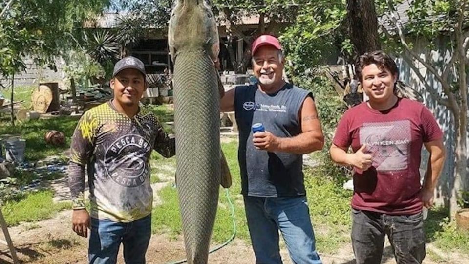 El 'animalito' mide meas de 2 metros.