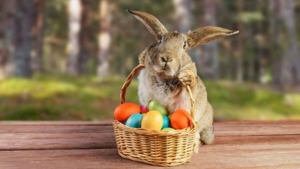 El Día de la Coneja es el 9 de abril