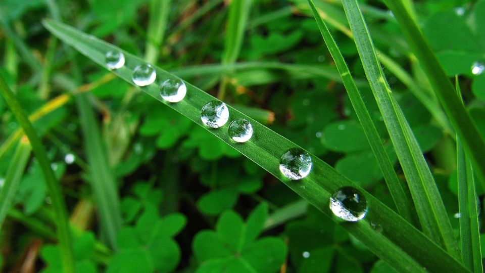 Muchas personas consideran que el agua de lluvia puede beberse