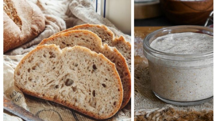 Masa madre: ¿qué es, cómo se elabora y cómo se conserva?