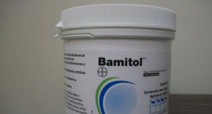 Bamitol: ¿sí funciona para bajar de peso?