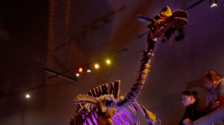 Museo del Desierto, en Saltillo, lanza promoción para celebrar el Día del Niño