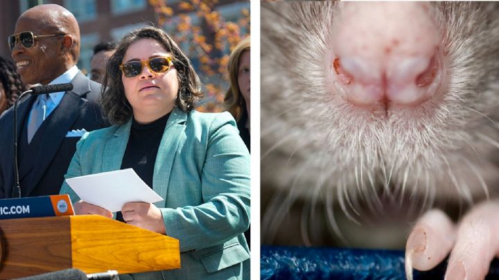 Nombran a 'fiscal antirratas' en Nueva York; la contratan por poseer un 'instinto asesino'