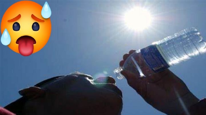 Onda de calor se dará en todo Tamaulipas; prepárese para el golpe
