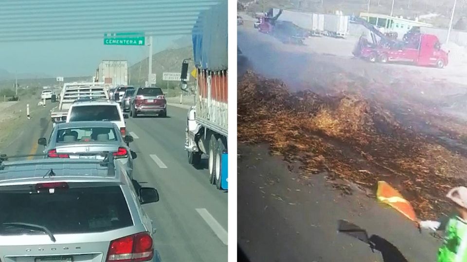 La alfalfa quedó calcinada