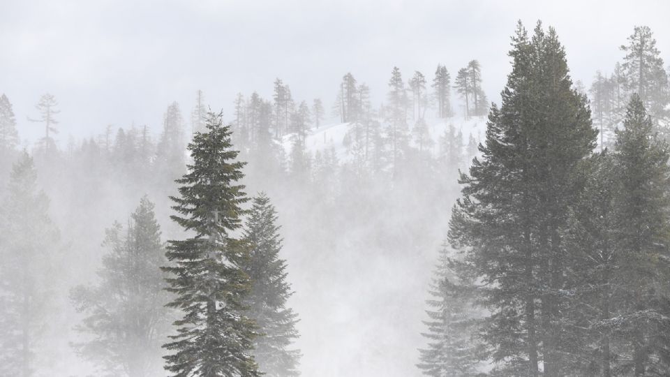 Este invierno vendrá acompañado de bajas temperaturas, las cuales cubrirán de blanco algunas partes del norte del país esta semana