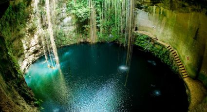 Familia construye una piscina y encuentran un enorme cenote bajo sus pies | FOTOS