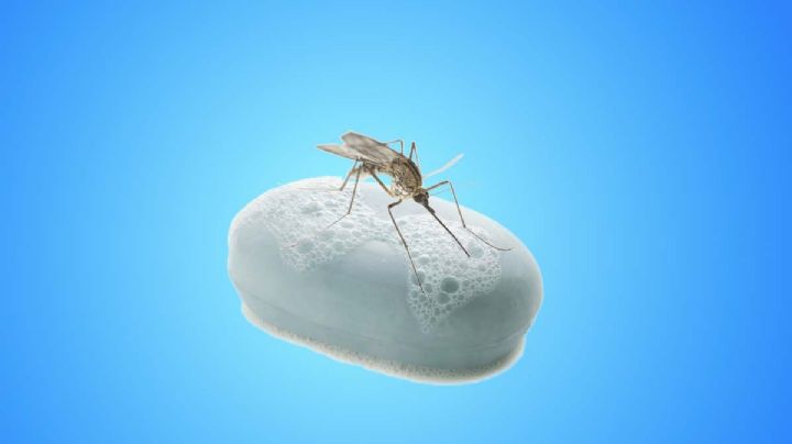 Razón por la que los mosquitos no te dejan en paz y a otros sí