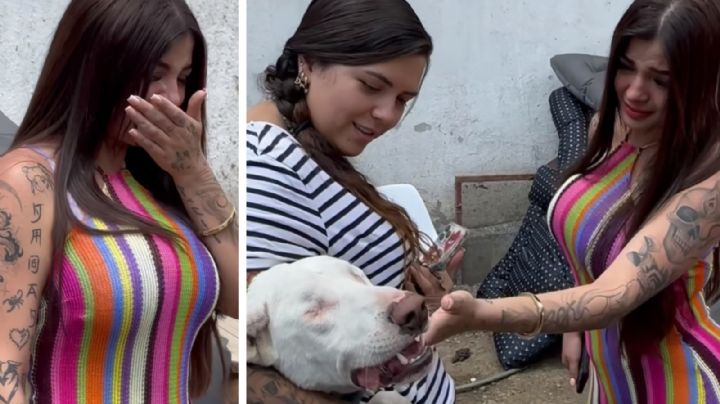 Karely Ruiz llora al conocer un perrito sin ojos; ‘facturará en tanga’ para ayudar a refugio | VIDEO