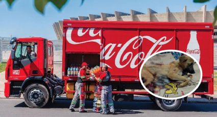 Perrito es arrastrado por camión de Coca-Cola; está grave | FUERTES IMÁGENES