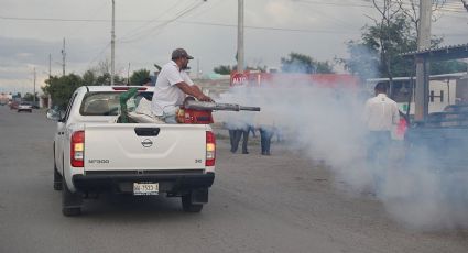 Con todo contra los mosquitos: van 30 colonias fumigadas