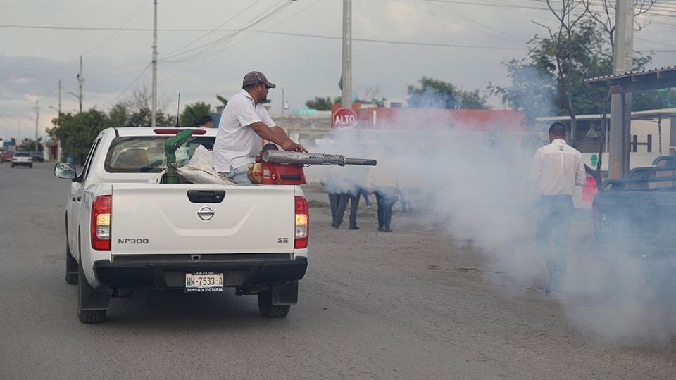 Fumigación en colonias