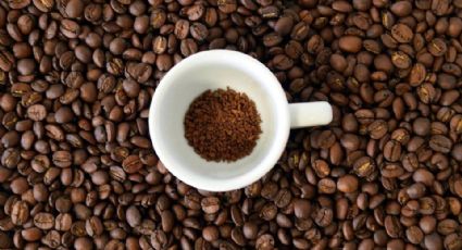 Profeco: Esta es la marca de café mejor que Nescafé o Legal; ideal para las mañanas