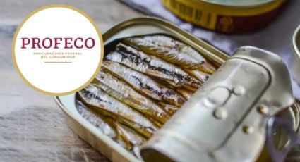 Profeco: estas son las mejores marcas de sardinas en el mercado