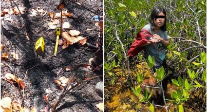 Rescatan a niña perdida, desde hace una semana, en selva de Quintana Roo