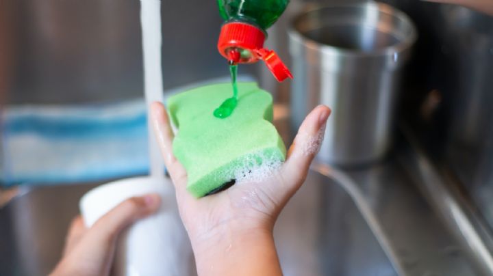 Profeco: estos son los mejores jabones para lavar trastes; puedes ahorrar mucho producto
