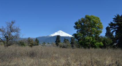 Esto dijo Protección Civil sobre actividad reciente del volcán Popocatépetl | VIDEO