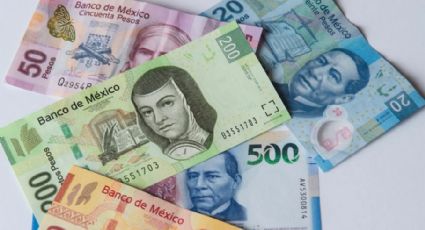 ¿Cuáles son los billetes más falsificados en México este año, según Banxico?